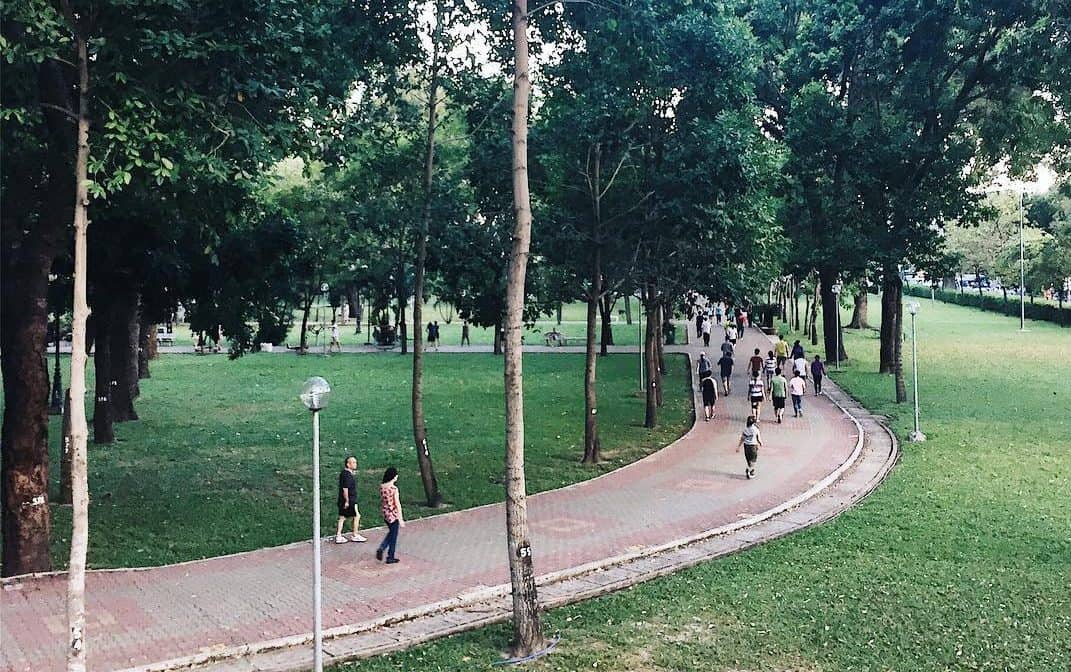 Dịch vụ chăm sóc cây