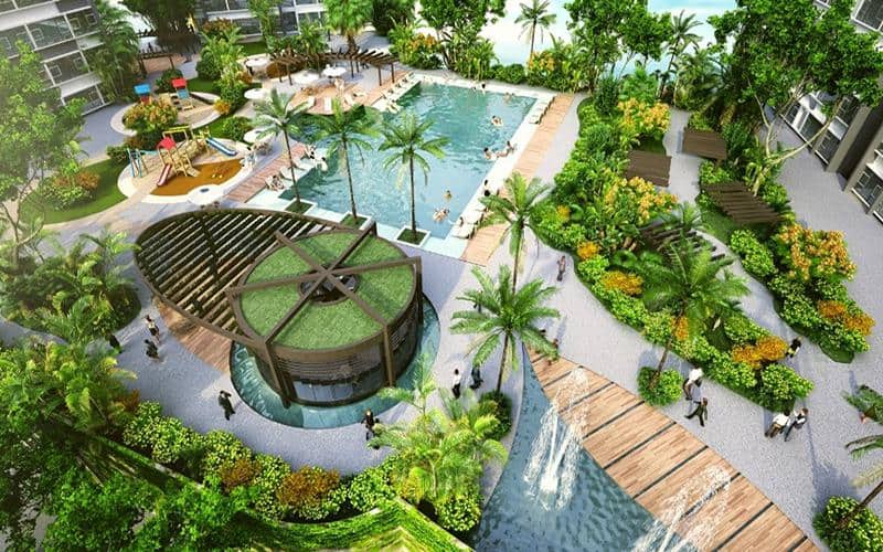 Dịch vụ chăm sóc cây